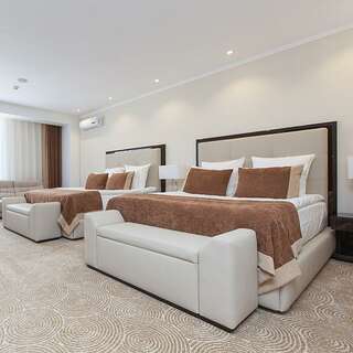 Гостиница Орион Владимир Студия Премиум двухместная 2 кровати-2