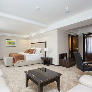 Гостиница Орион Владимир Студия Премиум двухместная 1 кровать-2