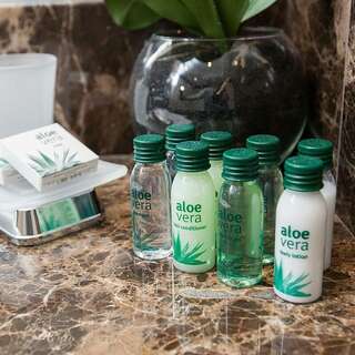 Гостиница Орион Владимир Бизнес Премиум двухместный 1 кровать-1