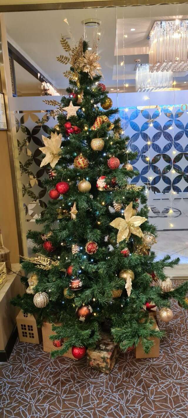 Гостиница Орион Владимир-232