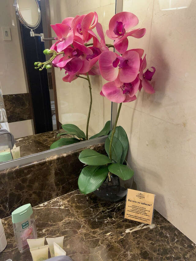 Гостиница Орион Владимир-179