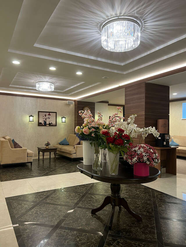 Гостиница Орион Владимир-228