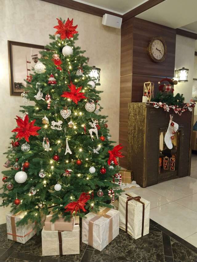 Гостиница Орион Владимир-172